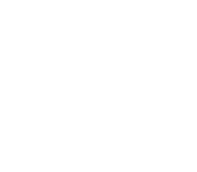 Member of the International Association of Certified Home Inspectors